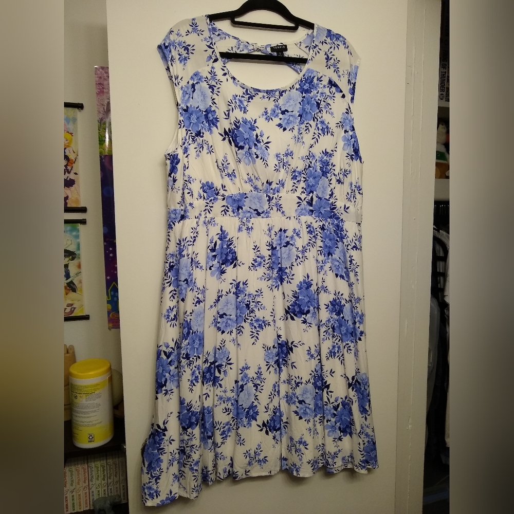 Torrid Size 2 Blue And White Floral Dress